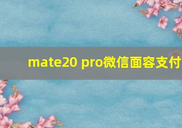 mate20 pro微信面容支付